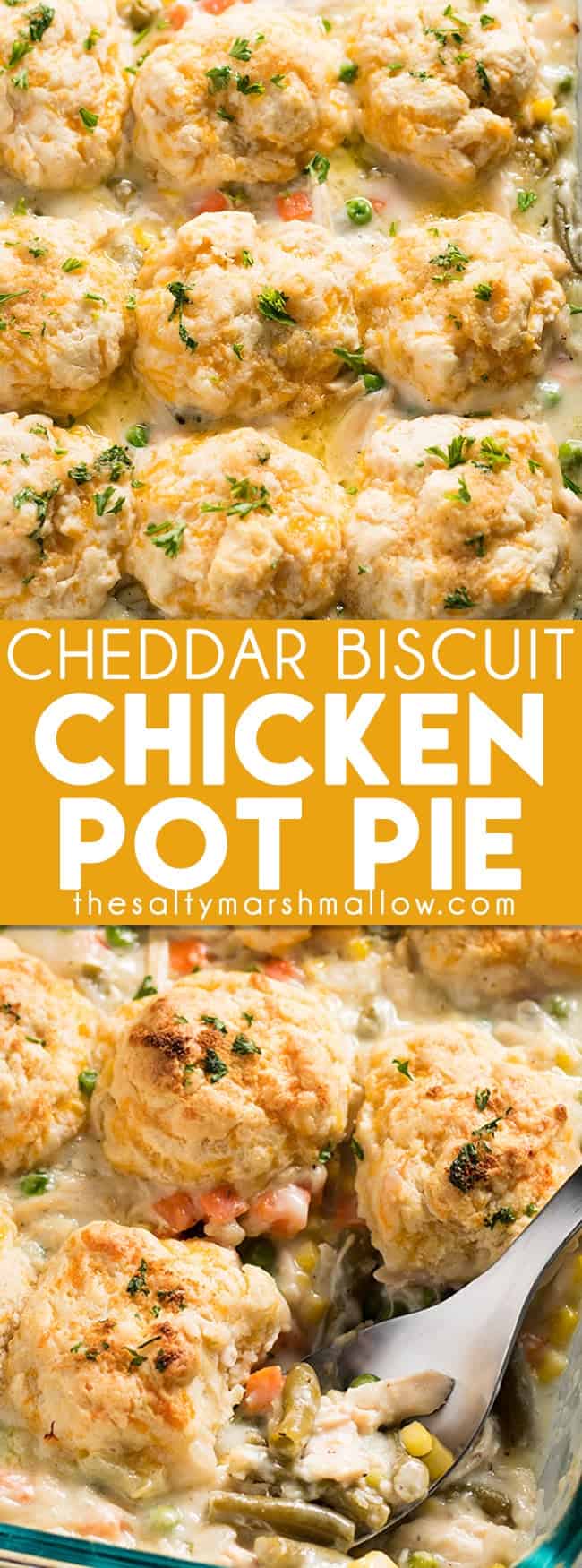 Chicken Pot Pie Casserole with Cheddar Biscuit Topping - The Salty ...