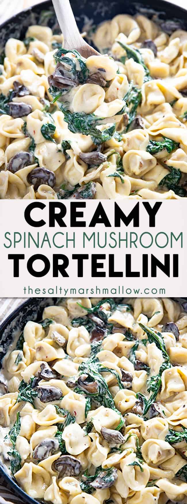 Creamy Spinach Mushroom Tortellini Recipe - The Salty Marshmallow