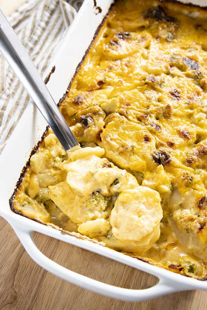 scalloped potatoes with broccoli cheese sauce
