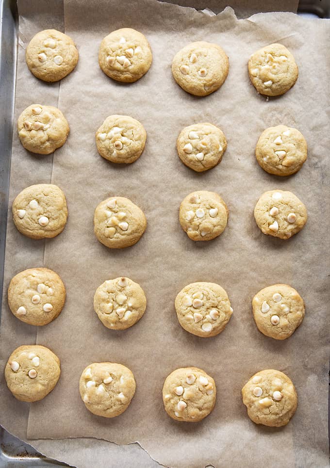 white chocolate chip cookies on sheet pan