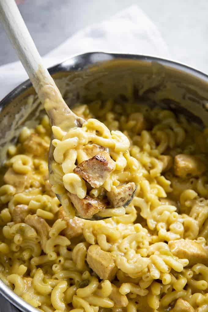 chicken mac and cheese on a spoon close up