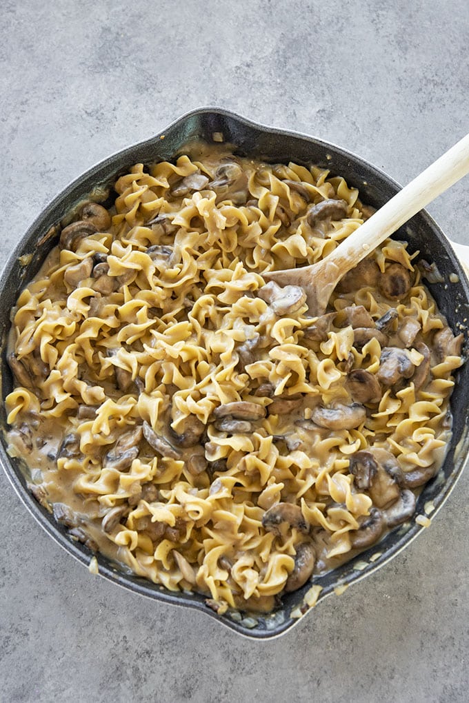 mushroom stroganoff with pasta in pan