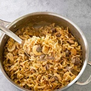 french onion beef and noodles in spoon