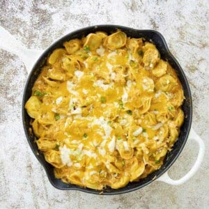 buffalo chicken tortellini in pan