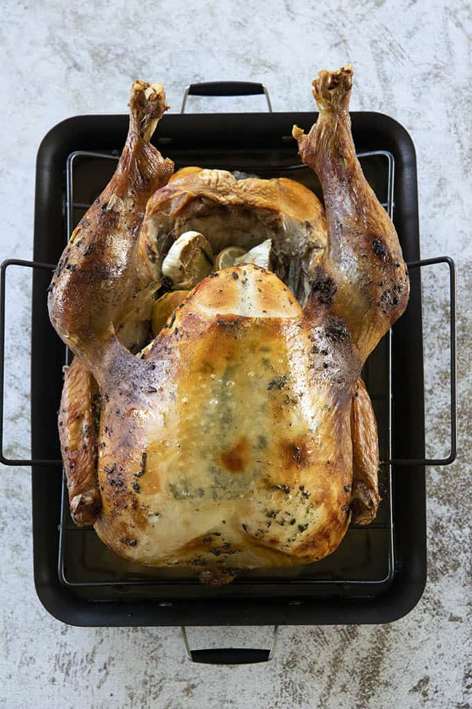 roast turkey on roasting pan