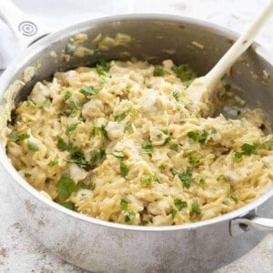 creamy chicken orzo in pan