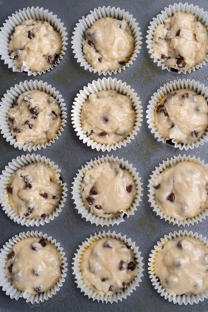 chocolate chip muffin batter