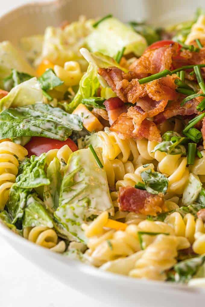 closeup photo of blt pasta salad