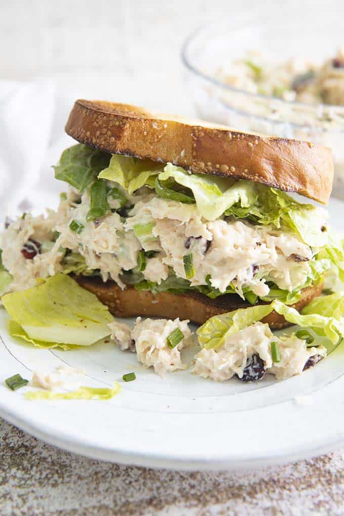 chicken salad on bread