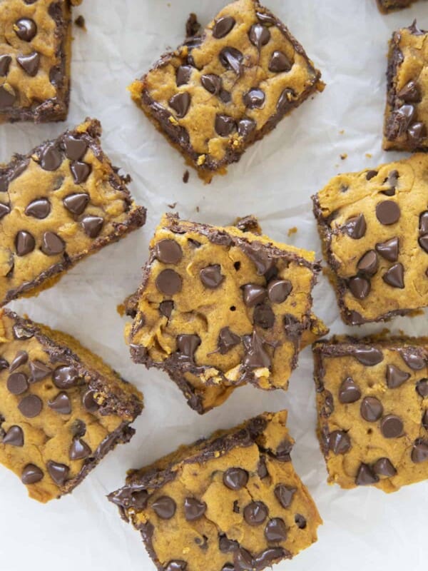 pumpkin bars with chocolate chips
