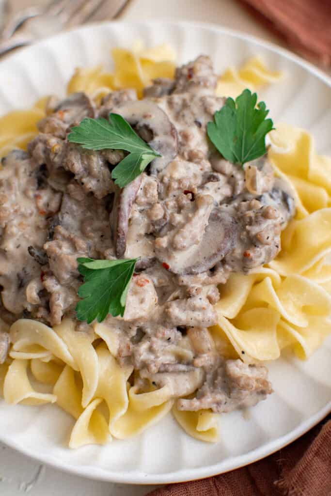 stroganoff with ground beef on a plate with noodles