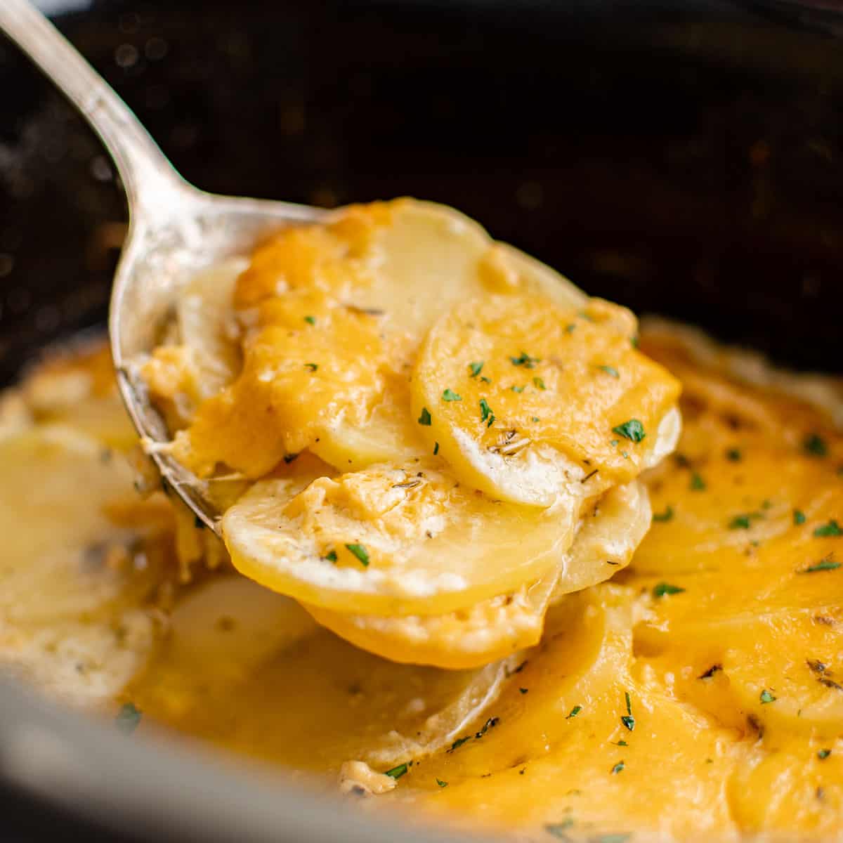 The Best Slow Cooker Scalloped Potatoes Recipe