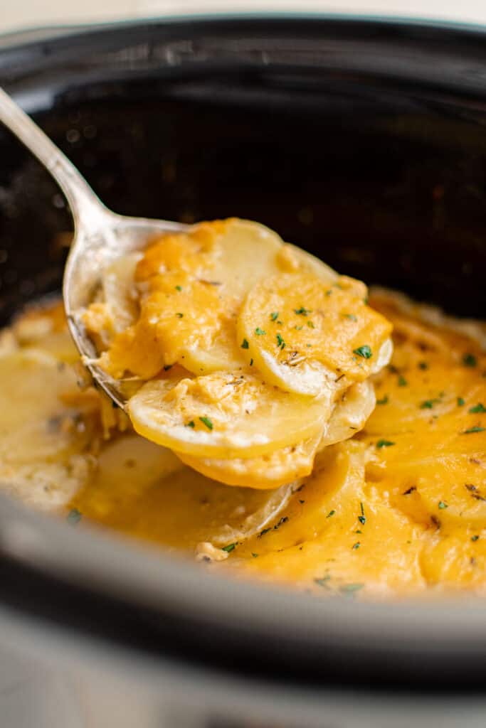 cheesy scalloped potatoes on a spoon