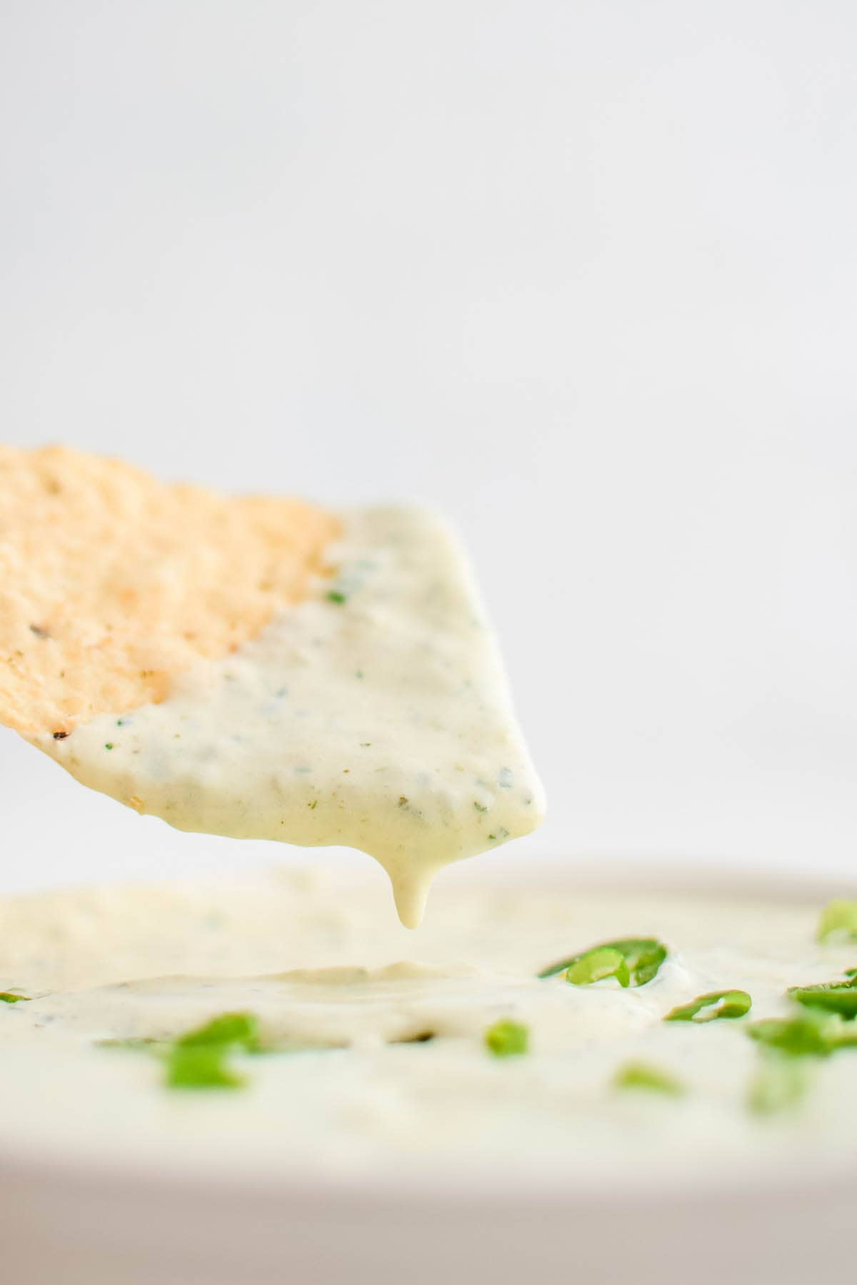 a tortilla chip covered with creamy jalapeno dip