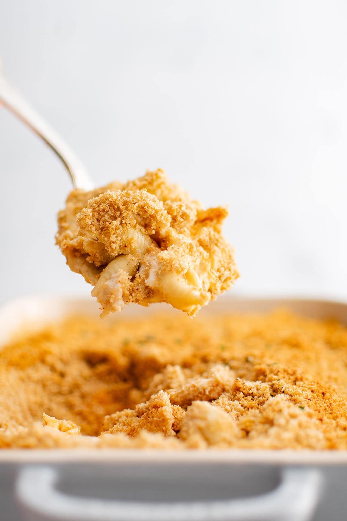 photo of chicken casserole in a spoon
