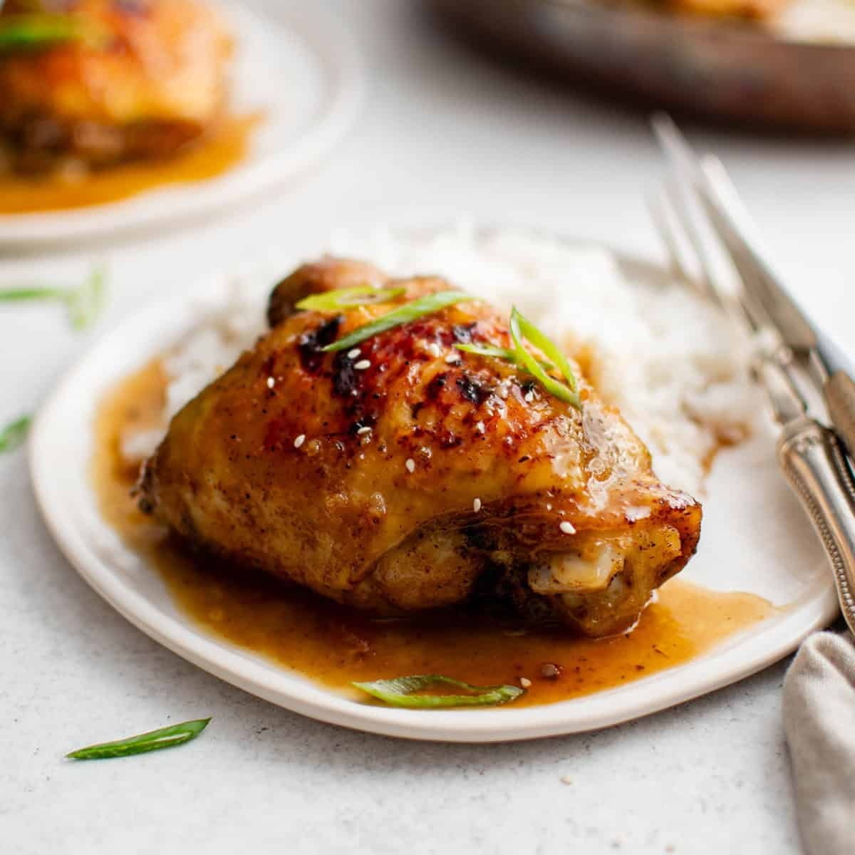 Honey Garlic Chicken