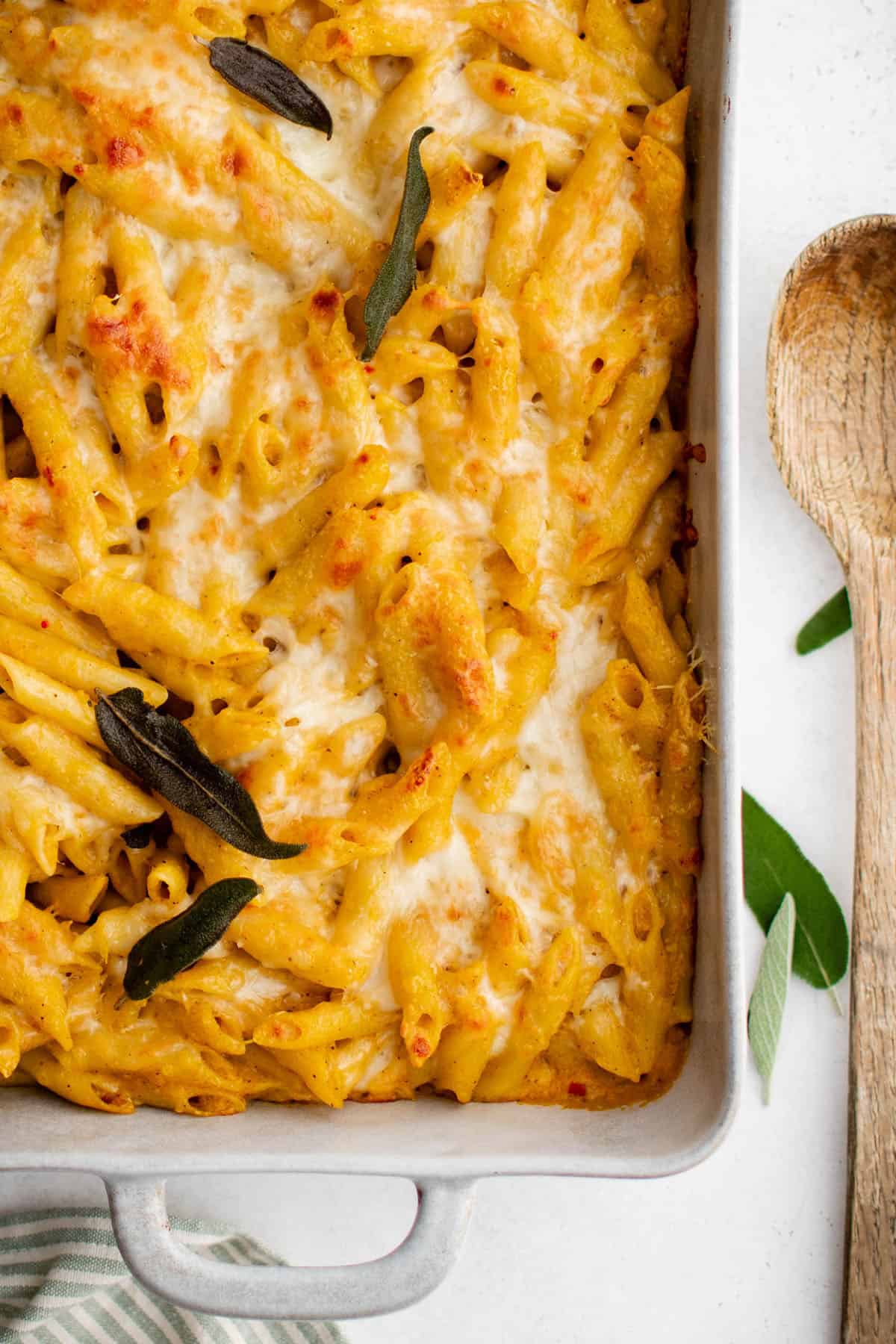 three cheese pumpkin baked penne
