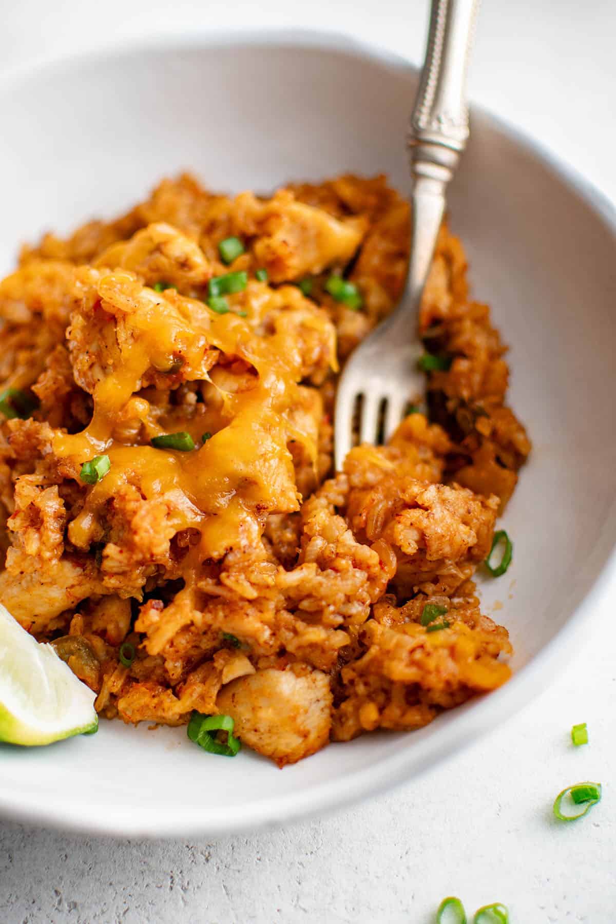 salsa chicken and rice in a bowl with a fork