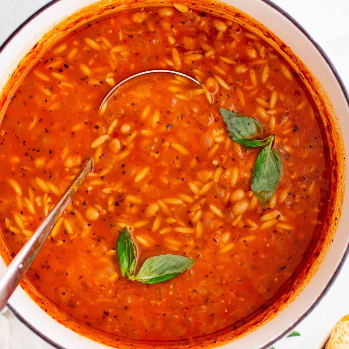 Tomato Orzo Soup
