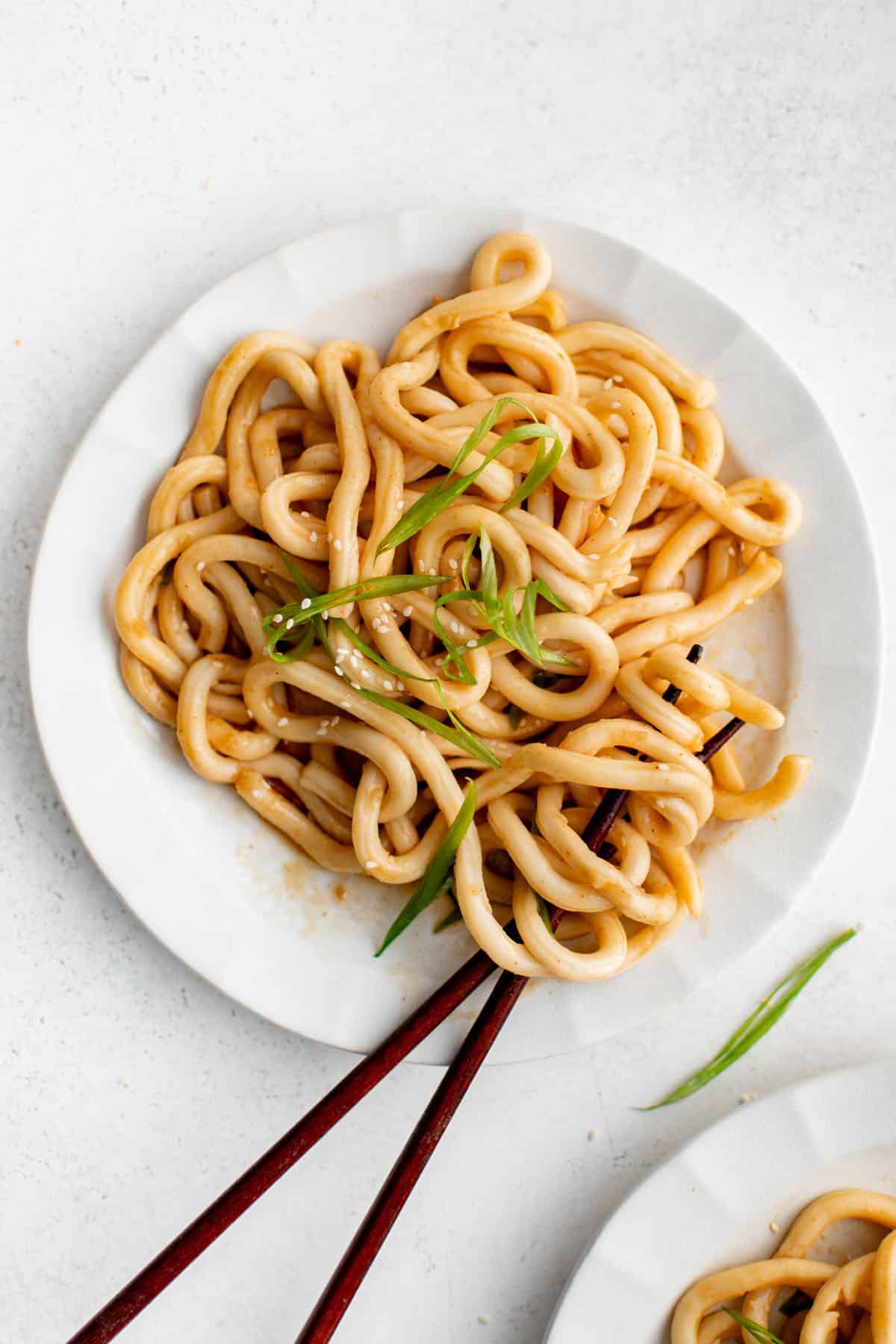 udon noodles on a plate