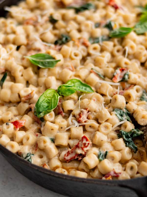ditalini with creamy sun dried tomato sauce in a pan